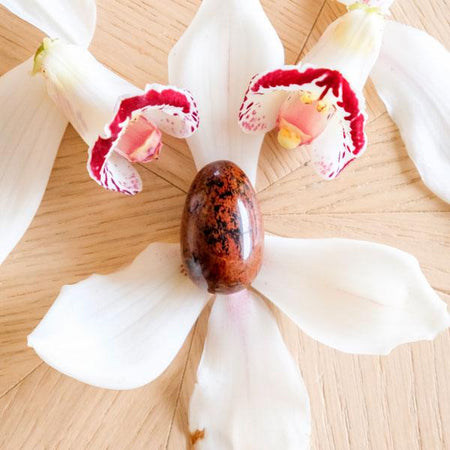 Jaspe Acajou moyen non troué - Livraison Express - Le Temple des Oracles