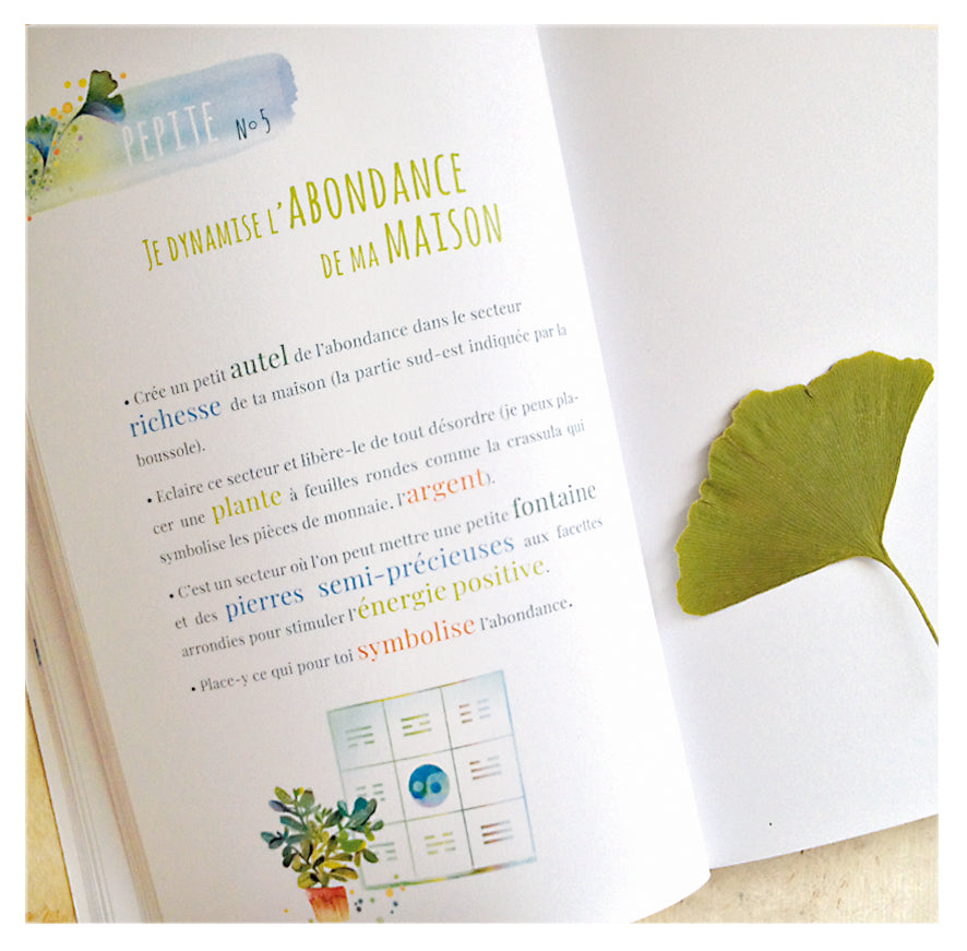 Coffret Activation Abondance - Le Temple des Oracles