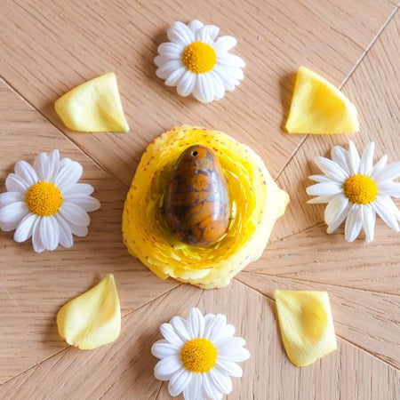 Jaspe Bambou moyen troué - Livraison Express - Le Temple des Oracles