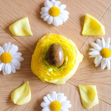 Jaspe Bambou petit non troué - Livraison Express - Le Temple des Oracles