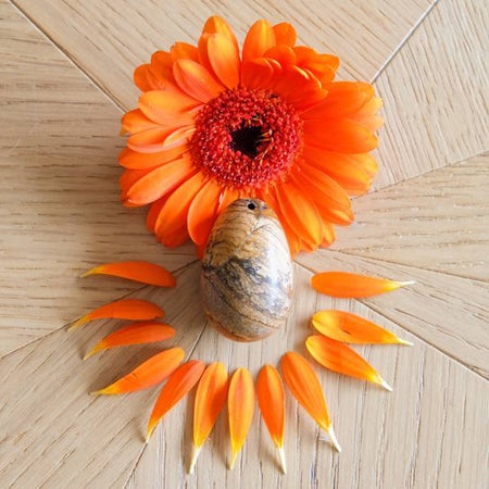 Jaspe Paysage moyen troué - Livraison Express - Le Temple des Oracles