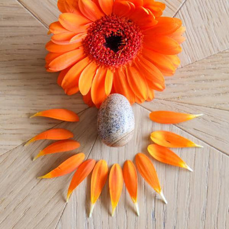 Jaspe Paysage petit non troué - Livraison Express - Le Temple des Oracles